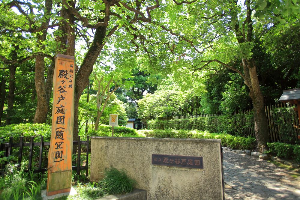 殿ヶ谷戸庭園の画像 - 2枚目