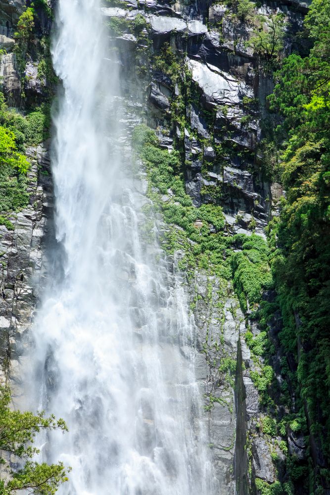 滝(那智の滝) 念願の那智の滝に🥹❤️❤️❤️ こんな凄い滝の前でご祈祷まで