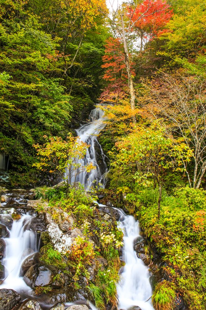 白滝の画像 - 2枚目