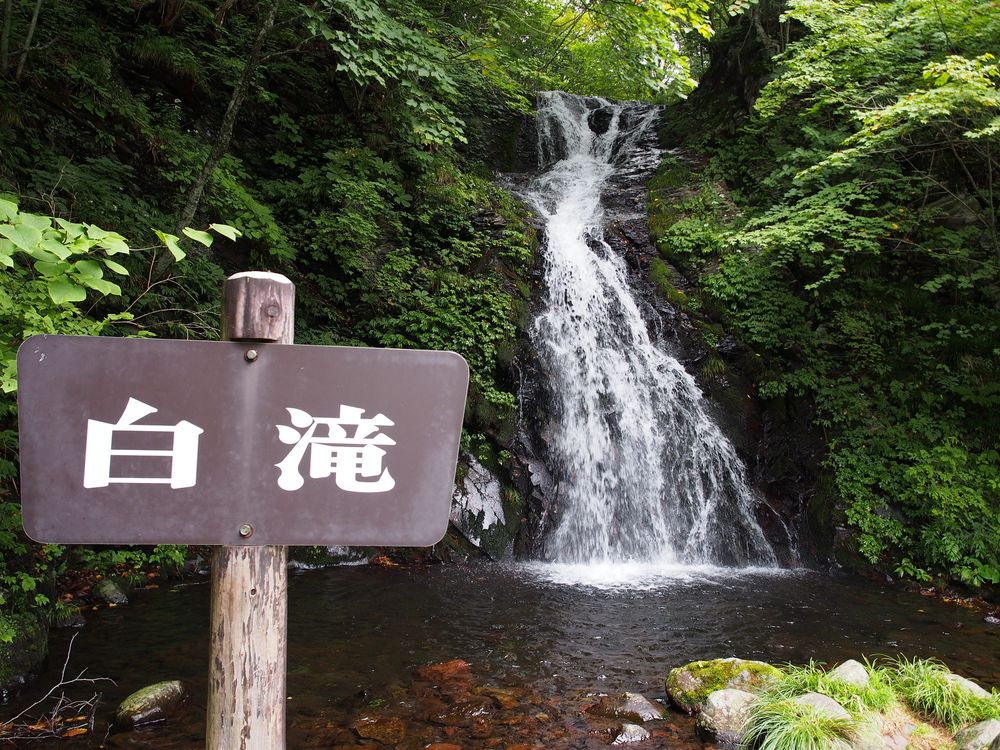 白滝の画像 - 4枚目