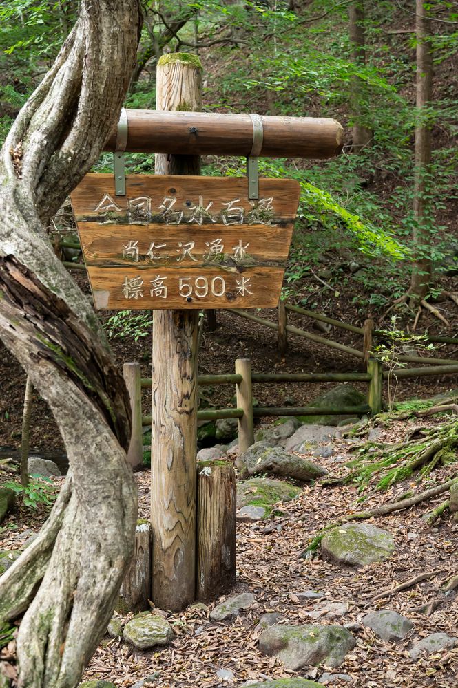 尚仁沢湧水の画像 - 6枚目