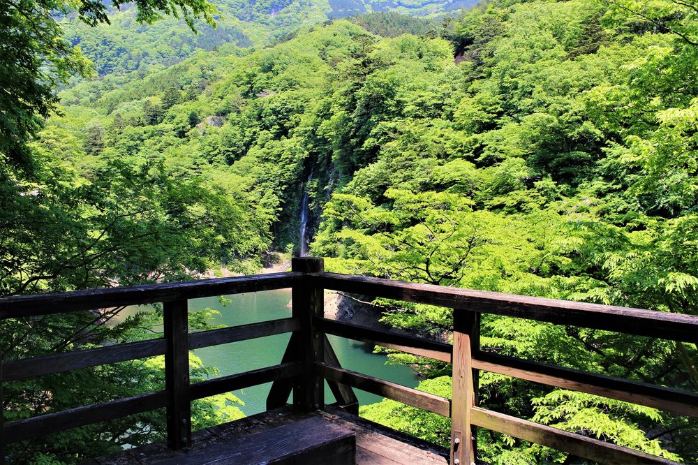 回顧の滝の画像 - 6枚目