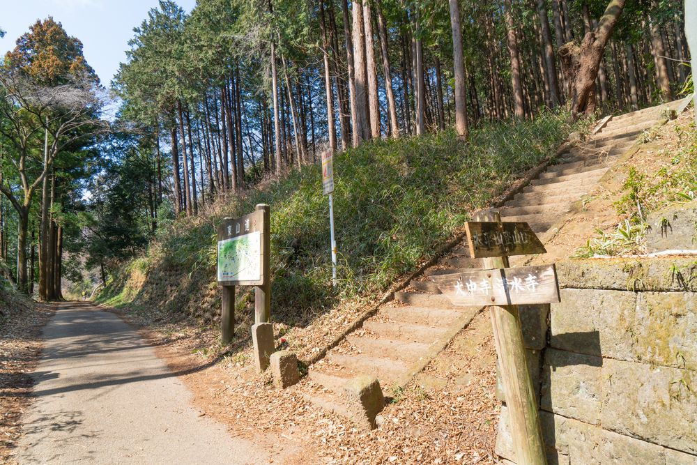 太平山神社の画像 - 3枚目