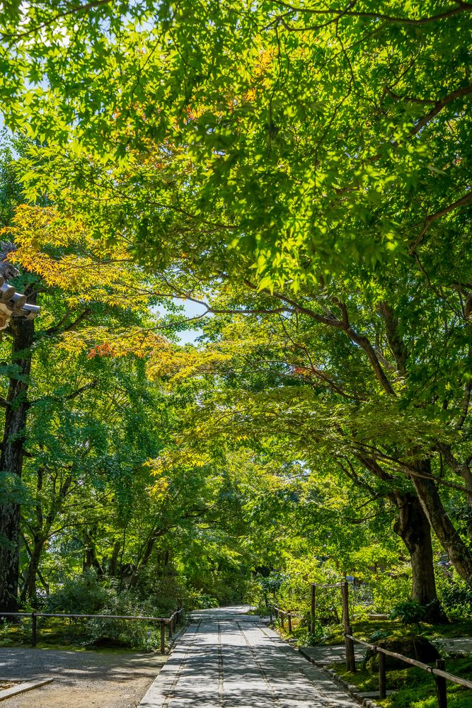 常寂光寺の画像 - 3枚目