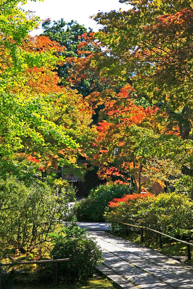常寂光寺の画像 - 5枚目