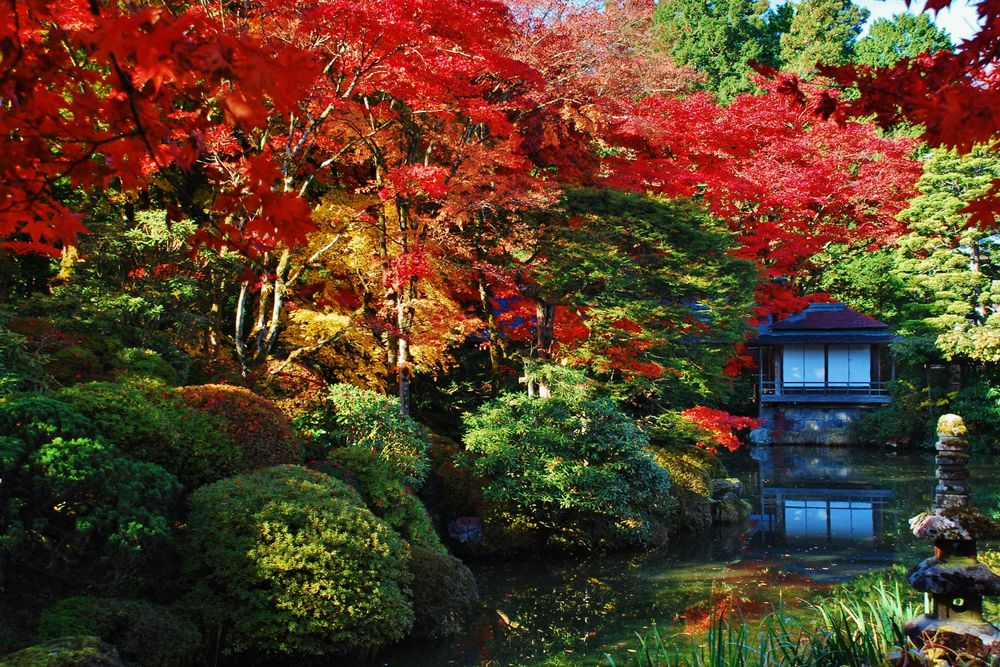 逍遥園の画像 - 2枚目