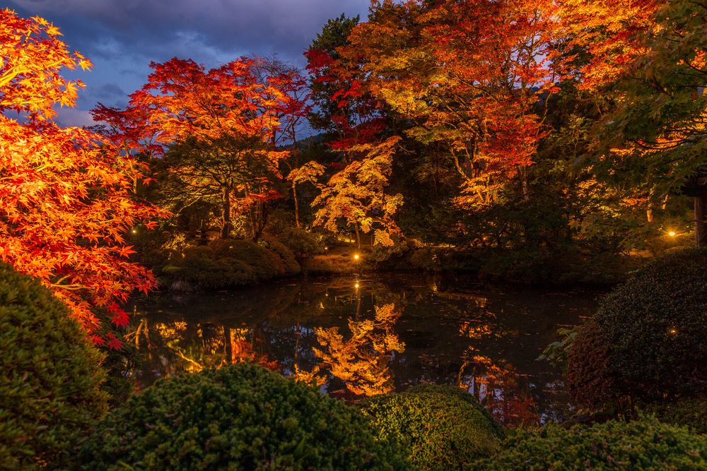 逍遥園の画像 - 3枚目