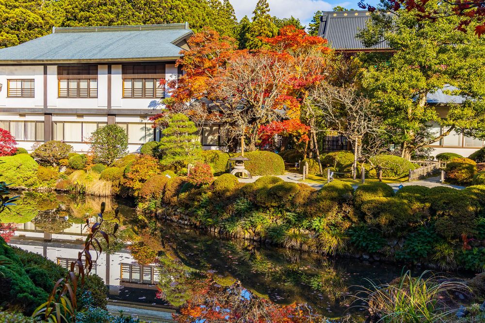 逍遥園の画像 - 4枚目
