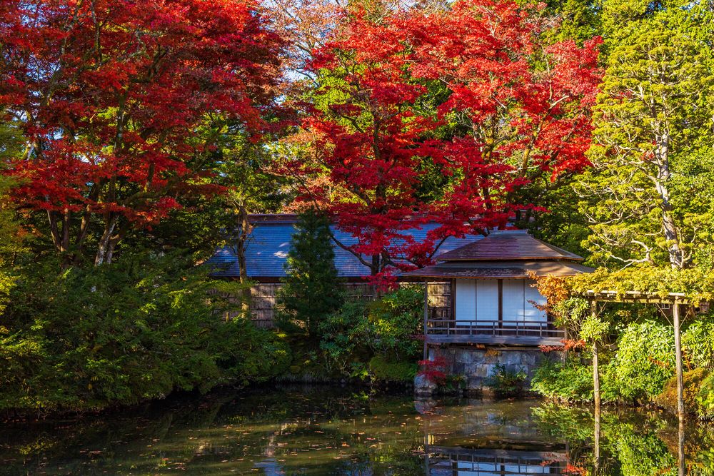 逍遥園の画像 - 5枚目
