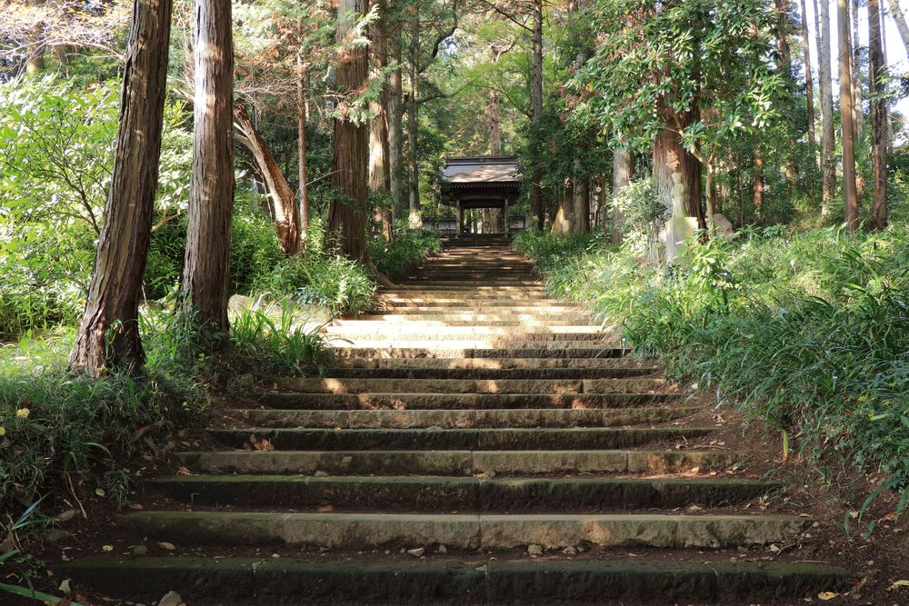 大雄寺の画像 - 2枚目