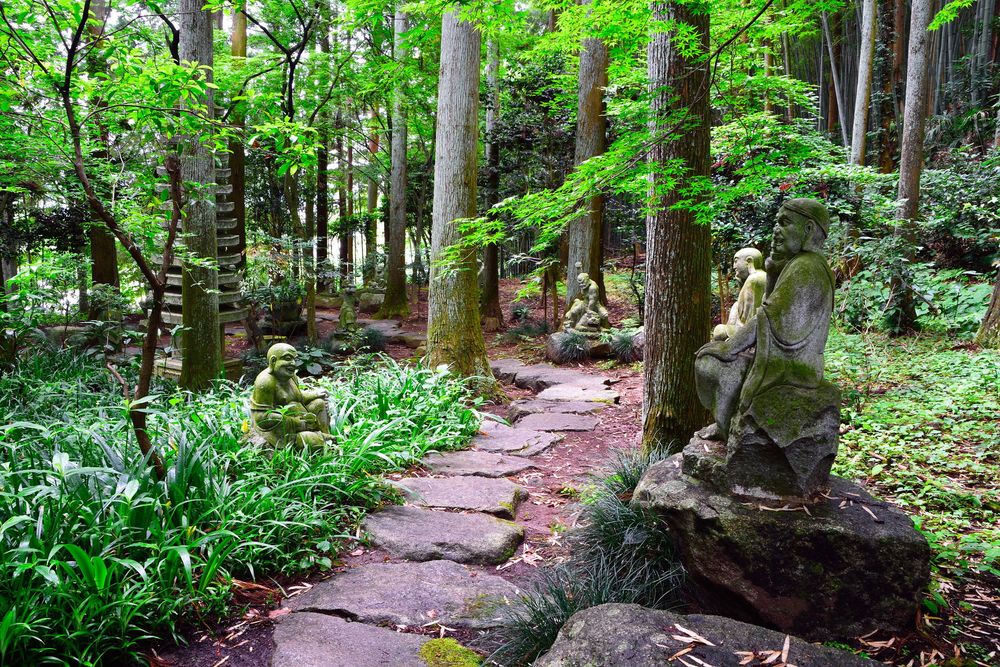 大雄寺の画像 - 3枚目