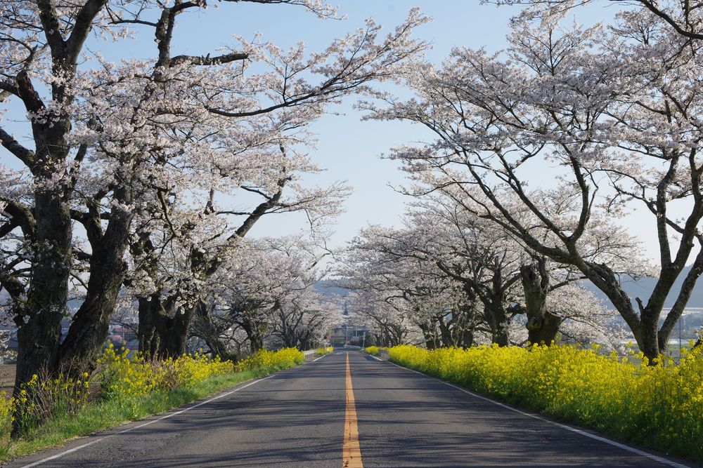 喜連川温泉の画像 - 3枚目