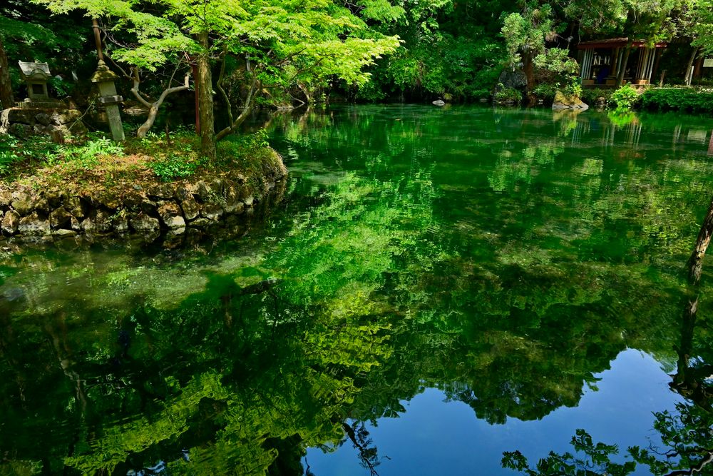 出流原弁天池の画像 - 4枚目