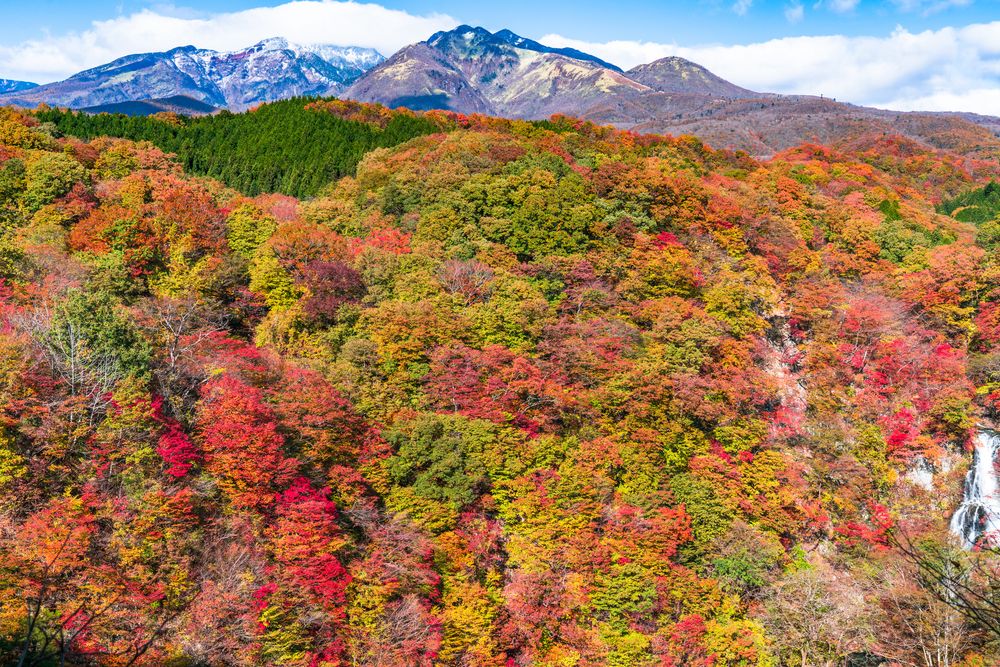 霧降高原の画像 - 2枚目