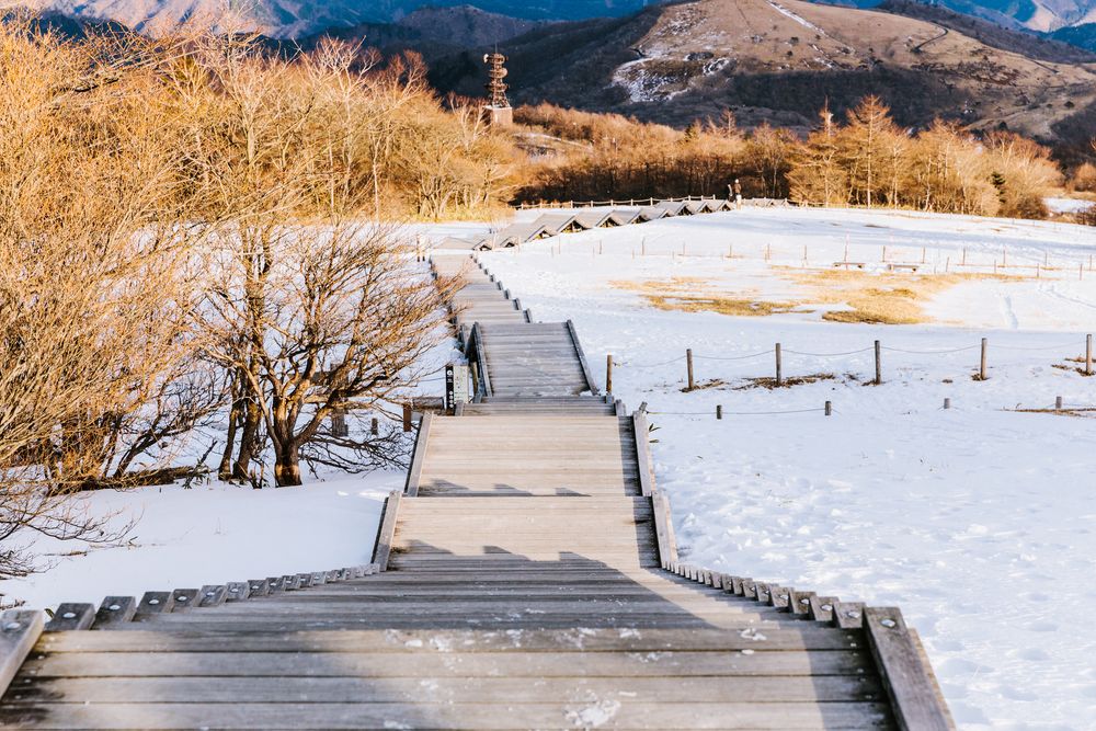 霧降高原の画像 - 5枚目