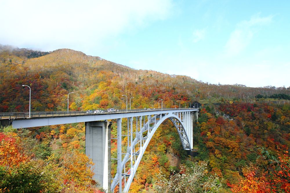 霧降高原の画像 - 6枚目