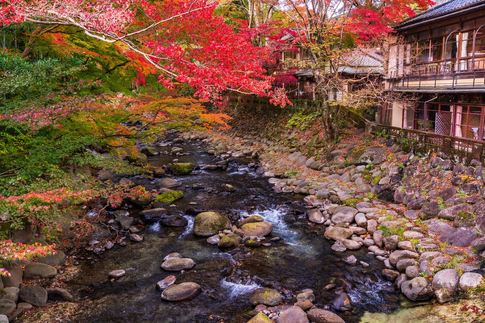 修善寺温泉の画像 - 3枚目