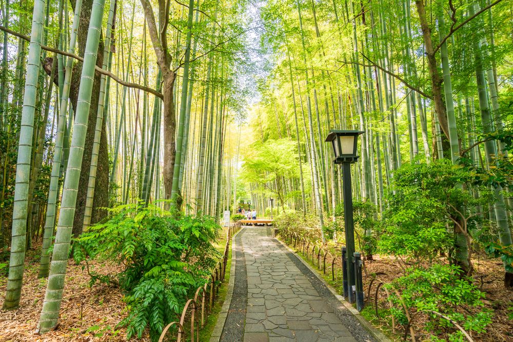 修善寺温泉の画像 - 6枚目