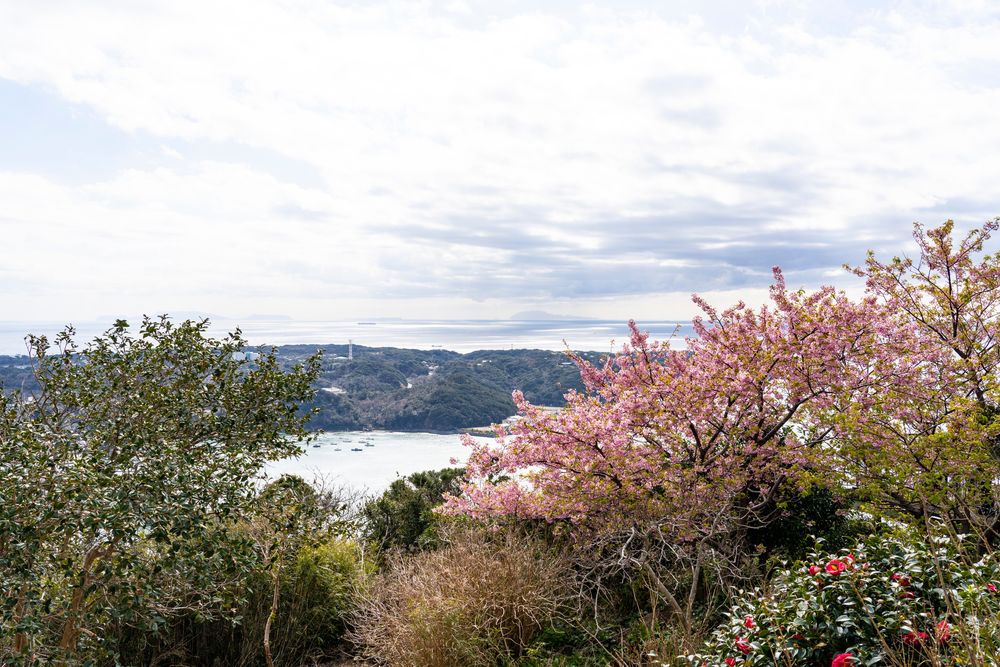 寝姿山展望台の画像 - 2枚目