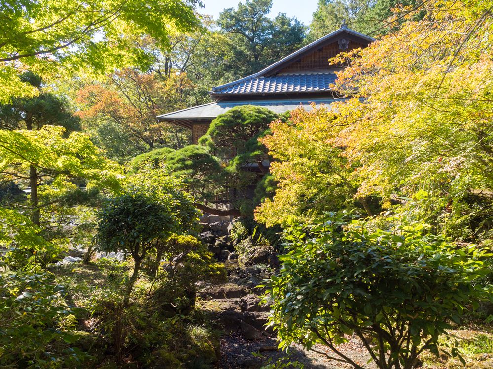 楽寿館の画像 - 2枚目
