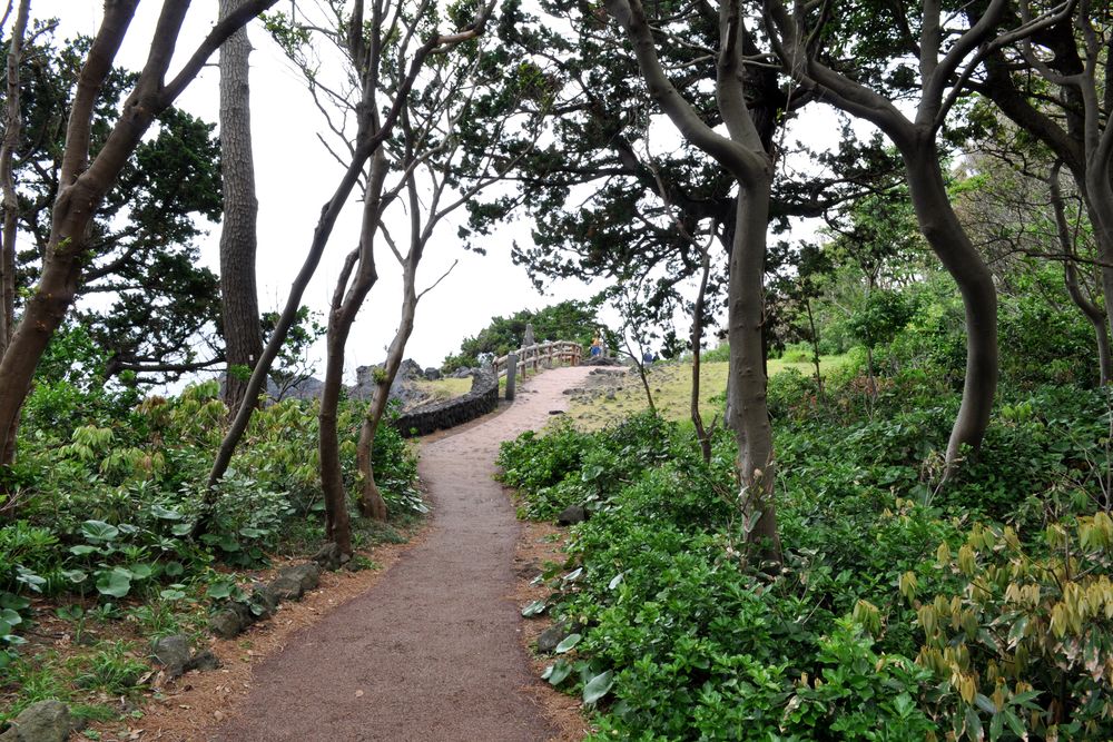 城ヶ崎ピクニカルコース