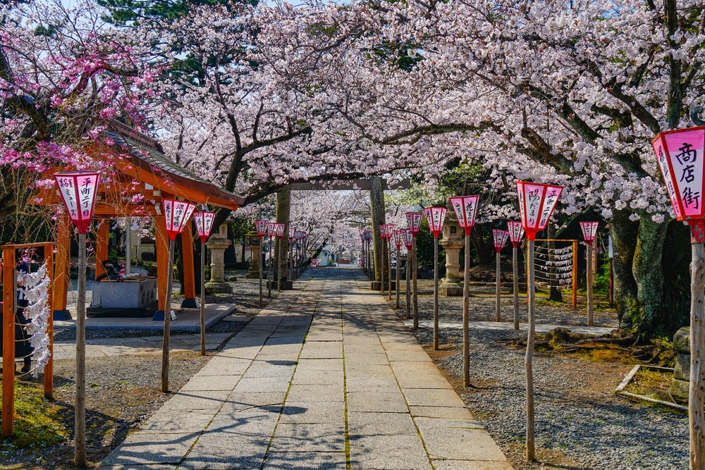 沼津日枝神社の画像 - 2枚目