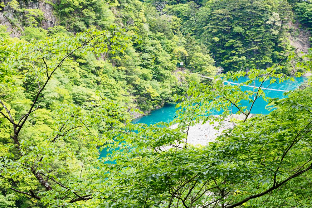 寸又峡の画像 - 4枚目