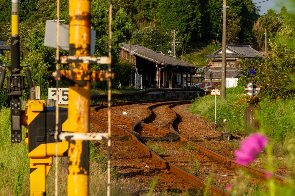 天竜浜名湖鉄道の画像 - 5枚目
