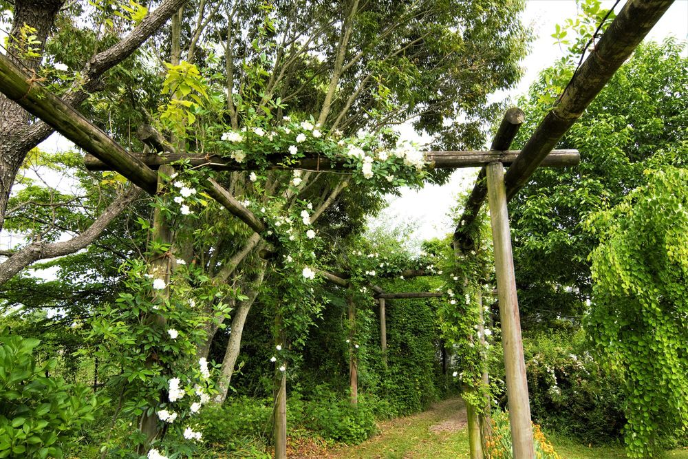 松阪農業公園ベルファームの画像 - 4枚目
