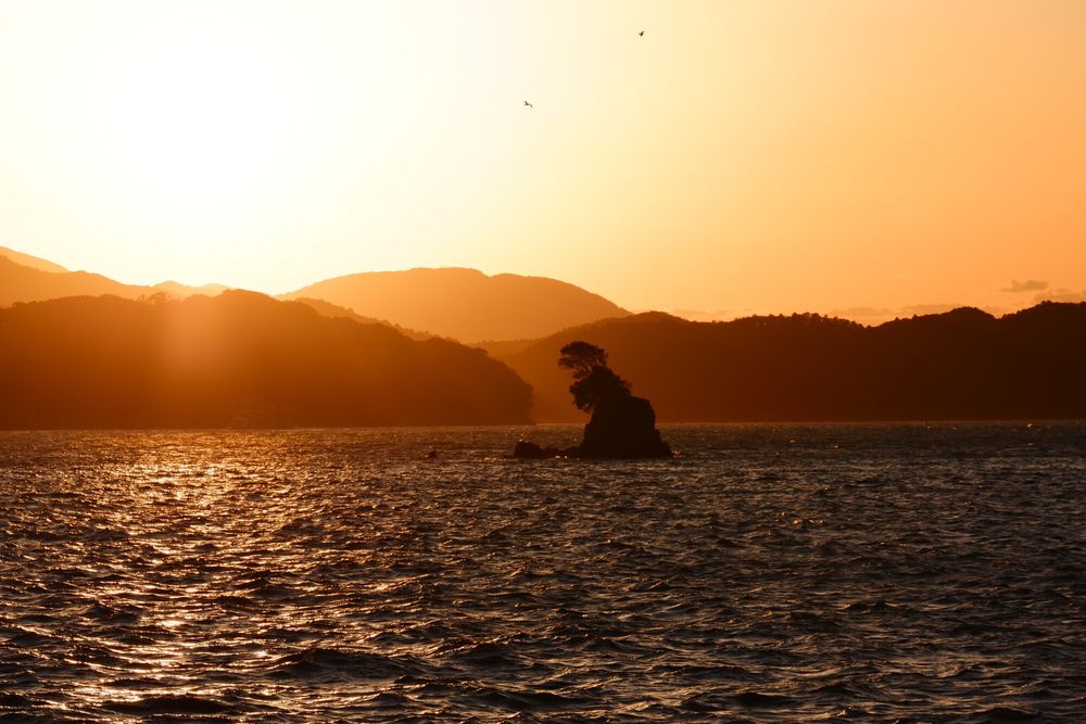 答志島の画像 - 4枚目