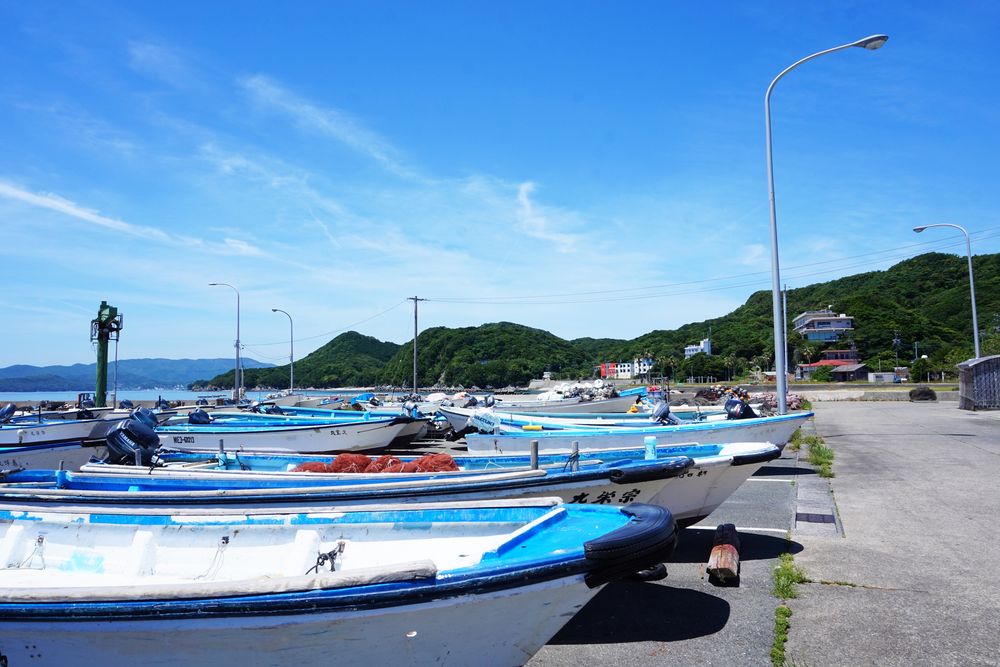 答志島の画像 - 5枚目