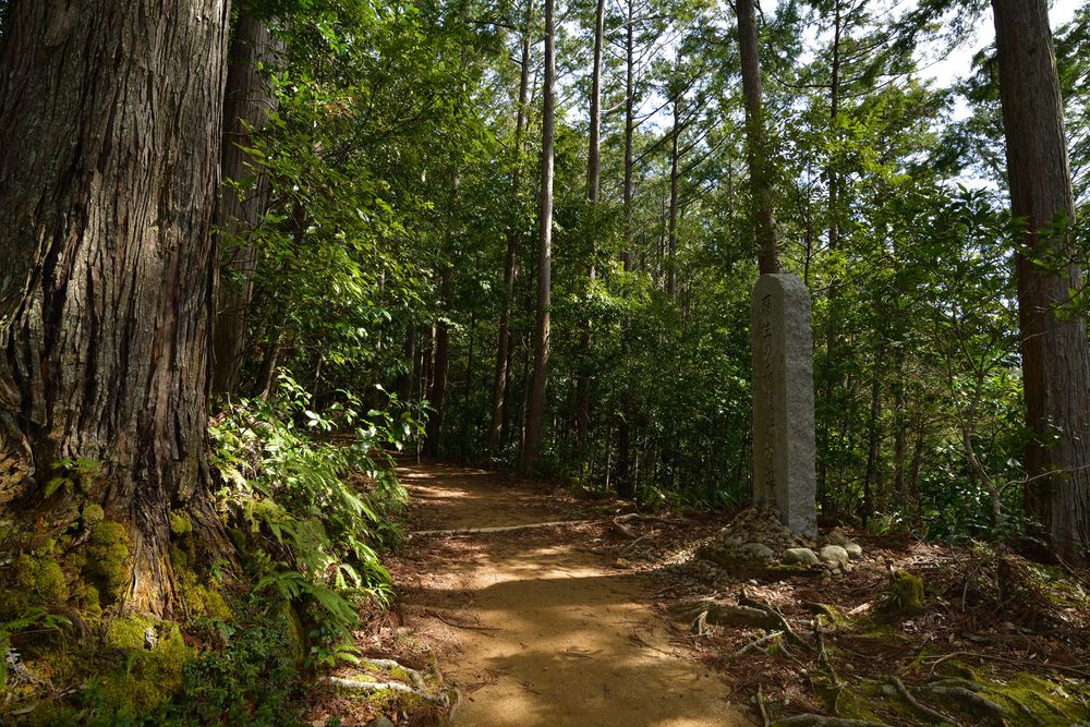 熊野古道（発心門王子～熊野本宮大社）の画像 - 2枚目