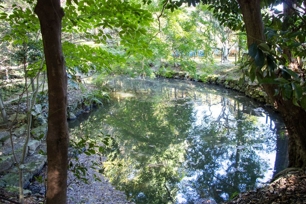 伊雜宮の画像 - 5枚目
