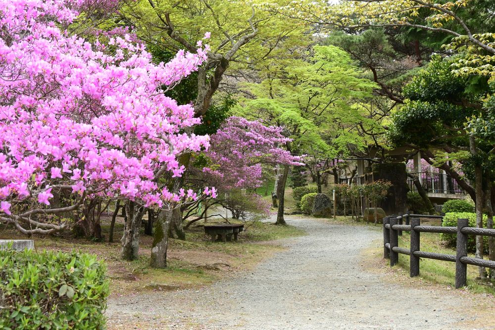 津偕楽公園の画像 - 3枚目