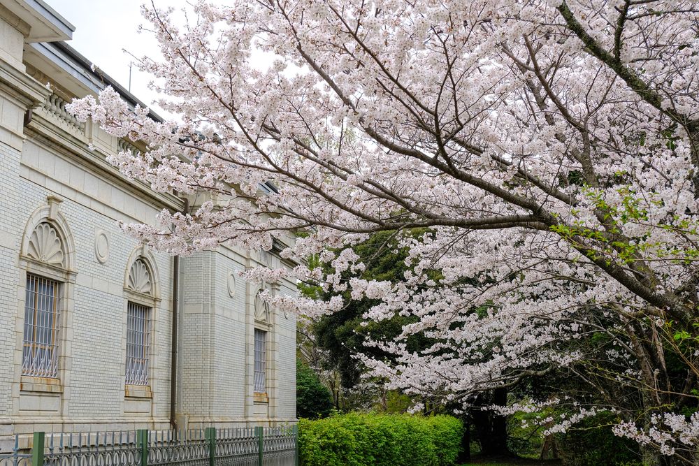 神宮徴古館の画像 - 4枚目