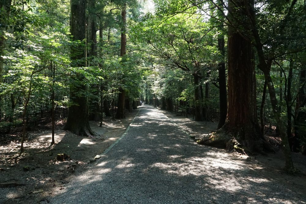 皇大神宮別宮 瀧原宮の画像 - 4枚目