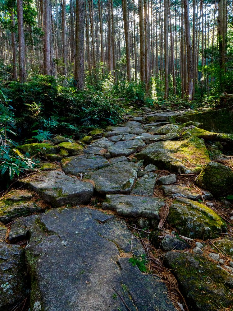 馬越峠の画像 - 2枚目