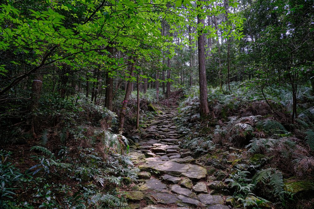 馬越峠の画像 - 5枚目