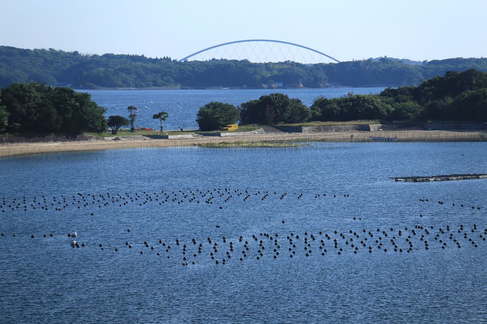 ともやま公園の画像 - 2枚目