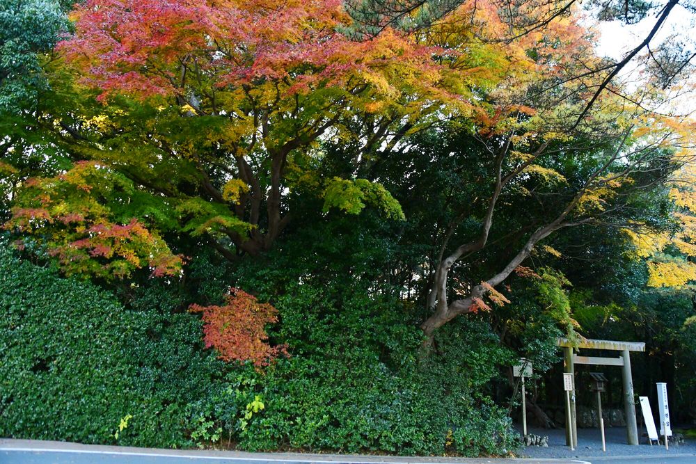 皇大神宮別宮 倭姫宮】のご利益・お守り・アクセス - Prism Japan