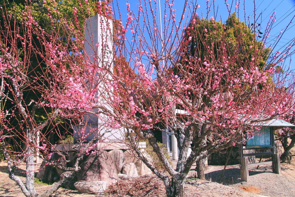 菅原神社の画像 - 2枚目