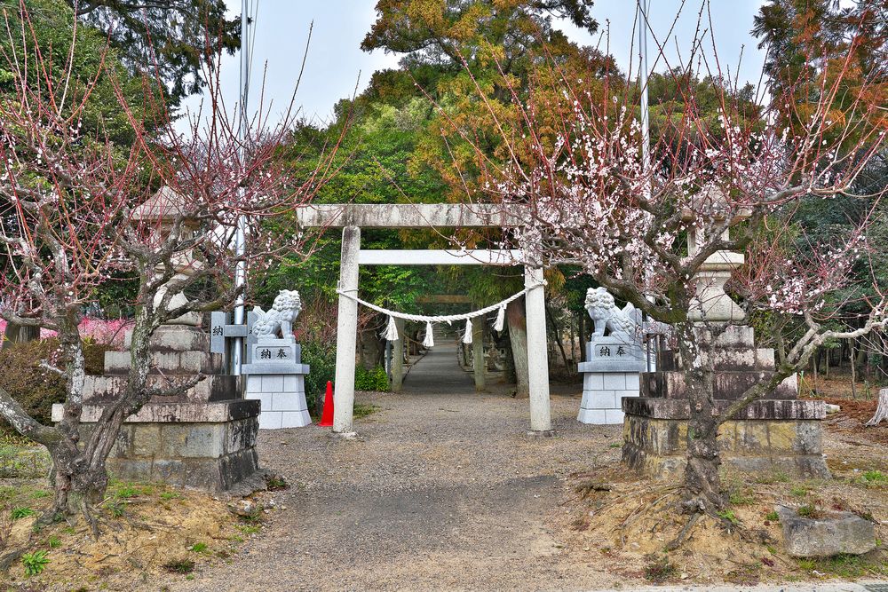 菅原神社の画像 - 3枚目