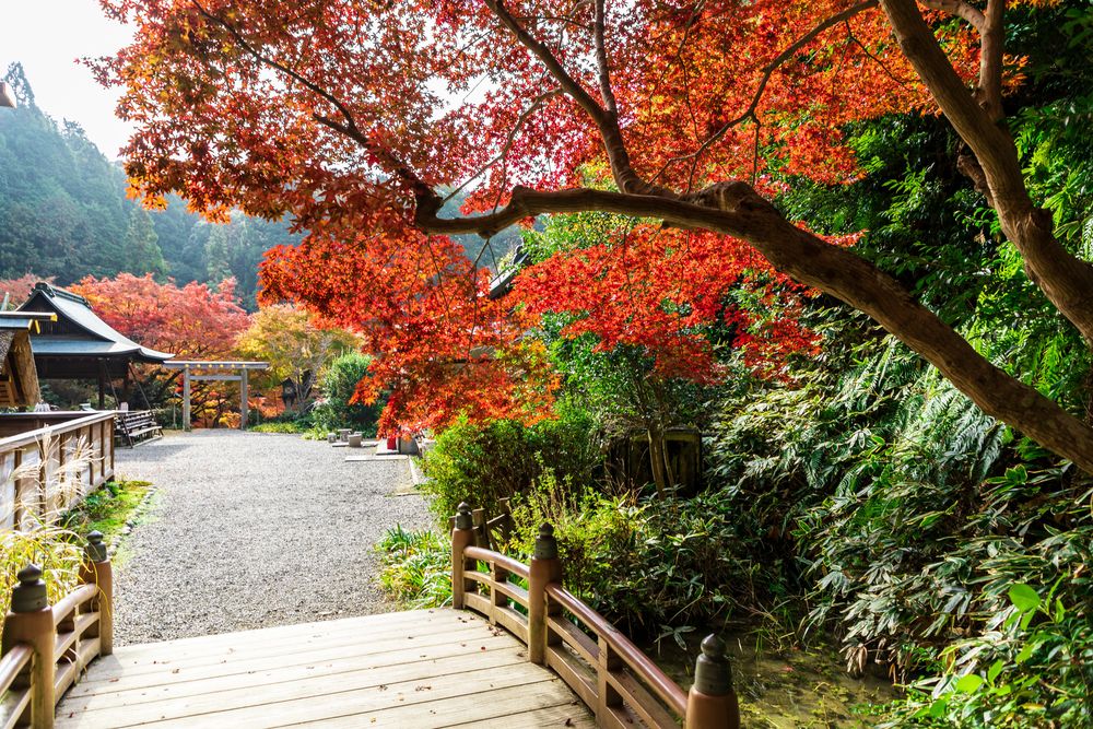 勾玉池の画像 - 3枚目
