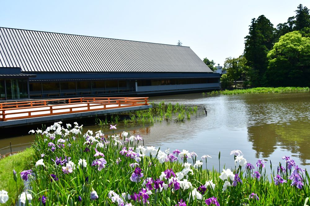 勾玉池の画像 - 5枚目
