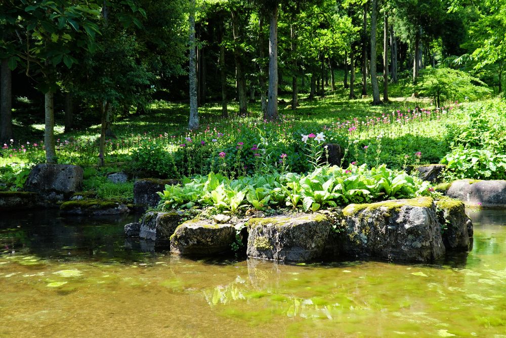 花の森 四十八滝山野草園】の周辺スポット・アクセス・口コミ - Prism