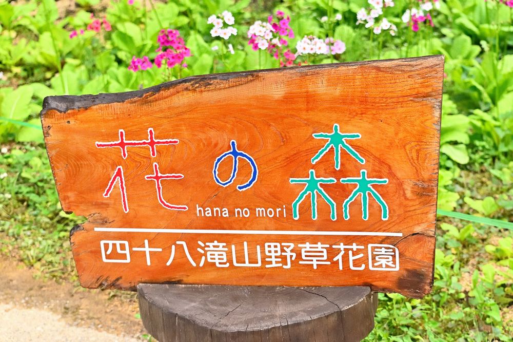 花の森 四十八滝山野草園の画像 - 6枚目