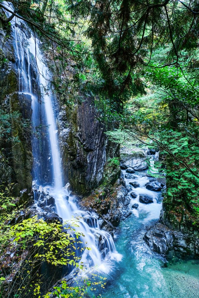 マツモトの滝 善五郎の滝】の周辺スポット・アクセス・口コミ - Prism Japan