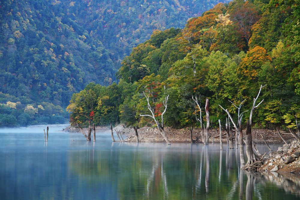 白水湖の画像 - 2枚目