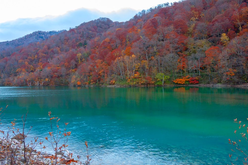 白水湖の画像 - 4枚目