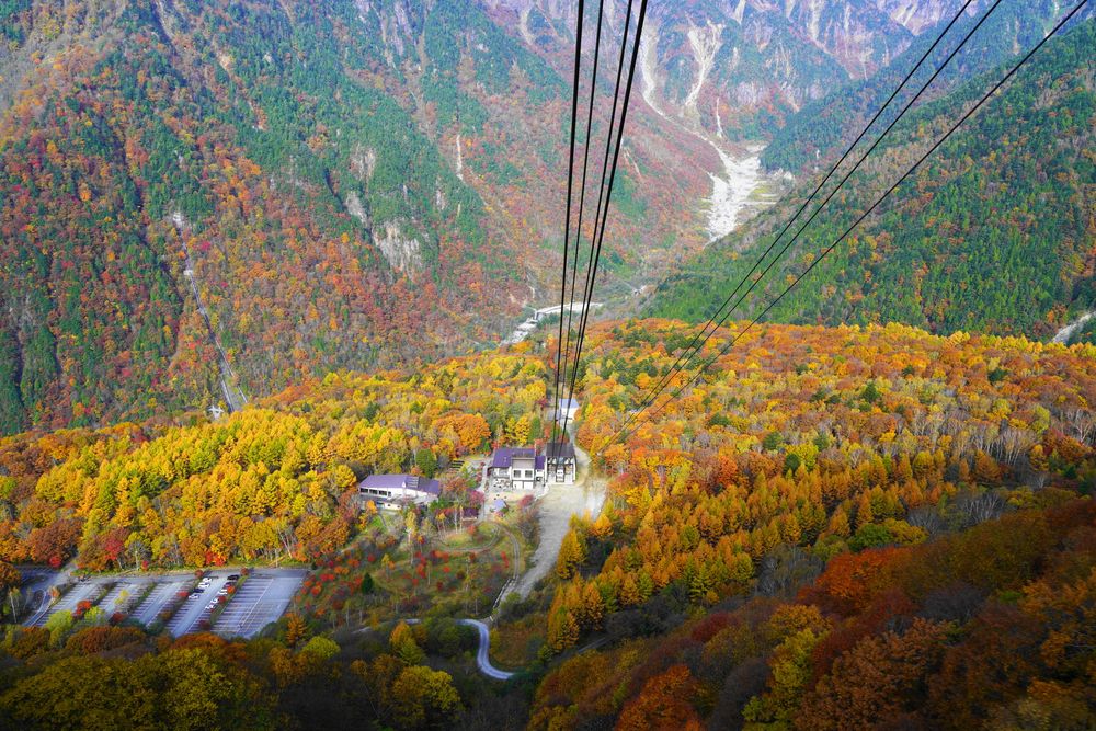 鍋平高原の画像 - 2枚目